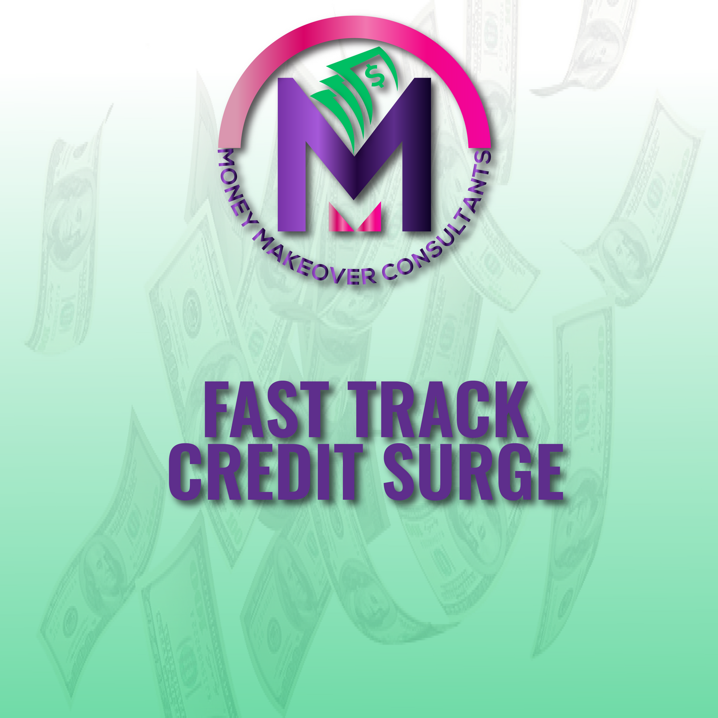 Fast Track Credit Surge-3B